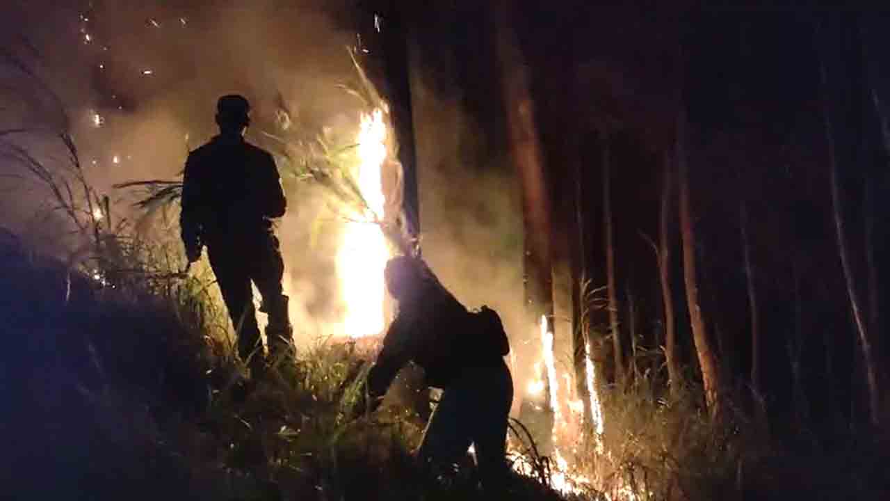 Polres Malang Dan Tim Satgas Karhutla Berhasil Padamkan Kebakaran Di Jabung