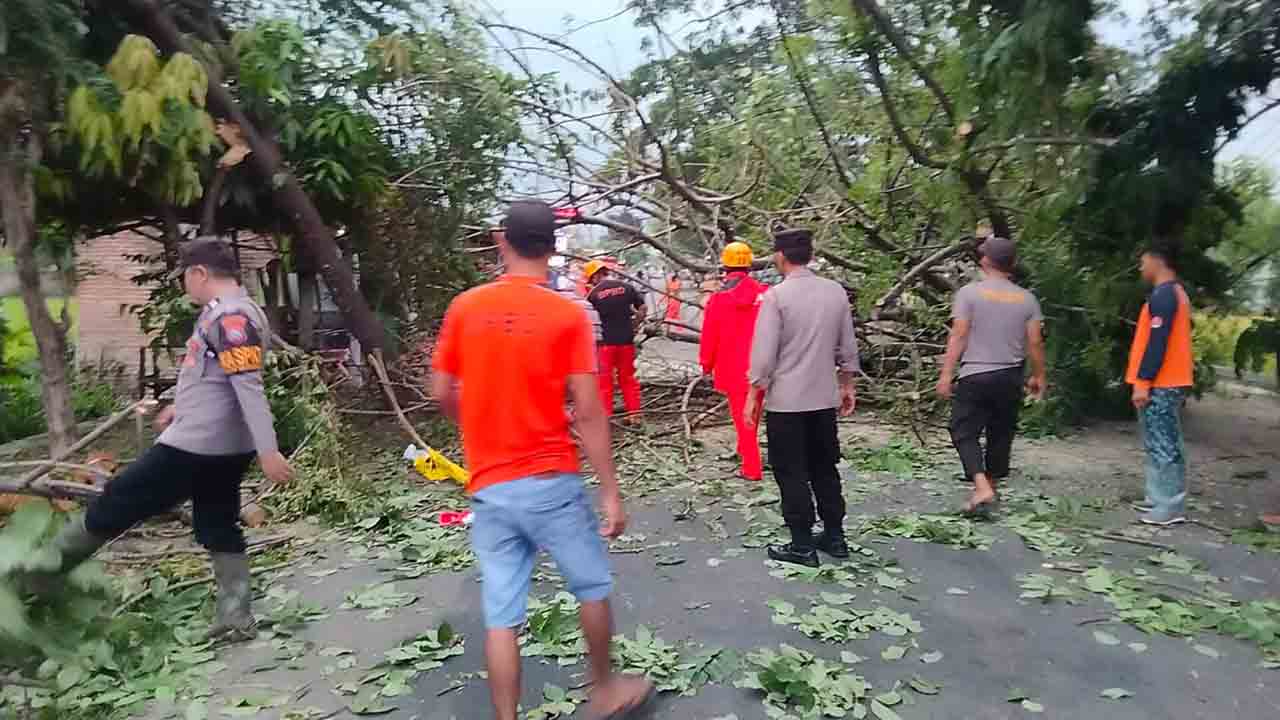 Gercep Polisi Bersama Warga Tangani Pohon Tumbang 2